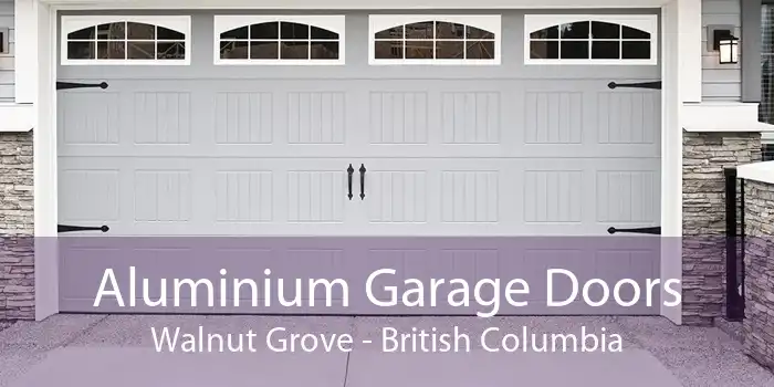 Aluminium Garage Doors Walnut Grove - British Columbia