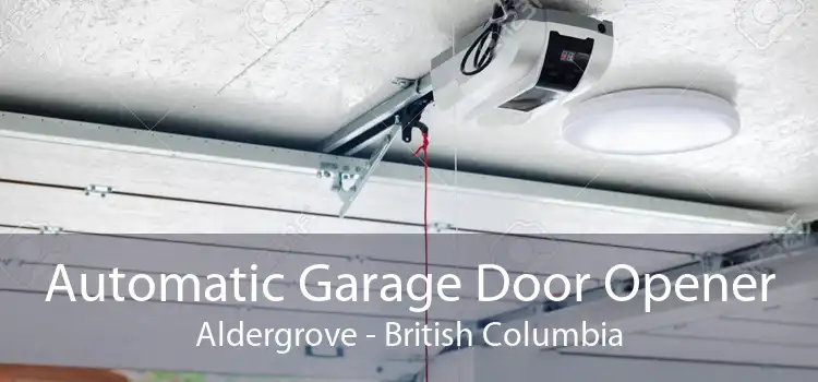 Automatic Garage Door Opener Aldergrove - British Columbia