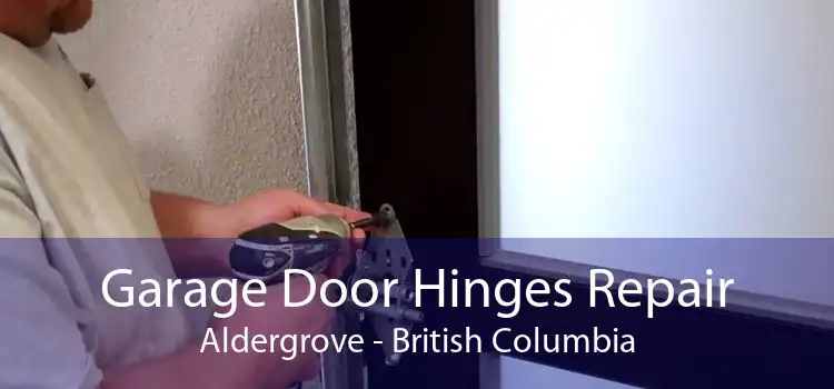 Garage Door Hinges Repair Aldergrove - British Columbia