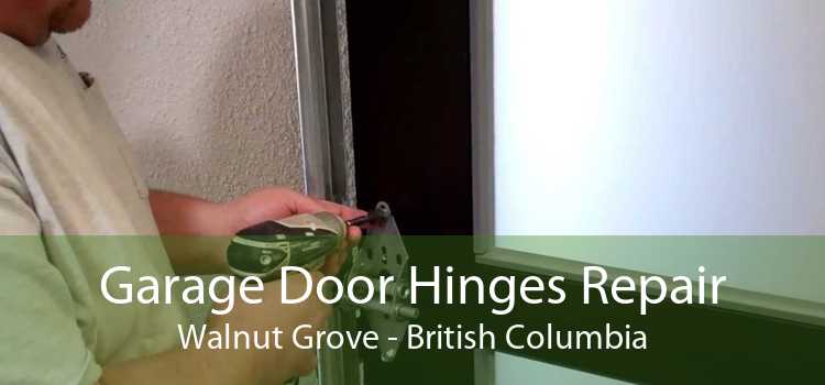 Garage Door Hinges Repair Walnut Grove - British Columbia
