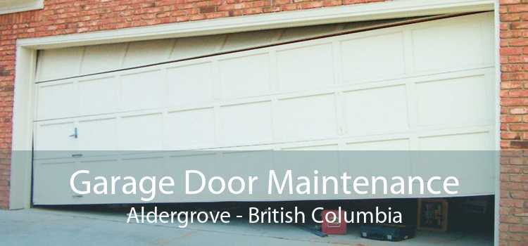 Garage Door Maintenance Aldergrove - British Columbia