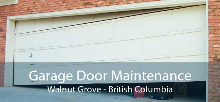 Garage Door Maintenance Walnut Grove - British Columbia