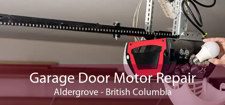 Garage Door Motor Repair Aldergrove - British Columbia