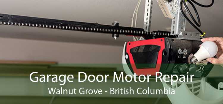 Garage Door Motor Repair Walnut Grove - British Columbia