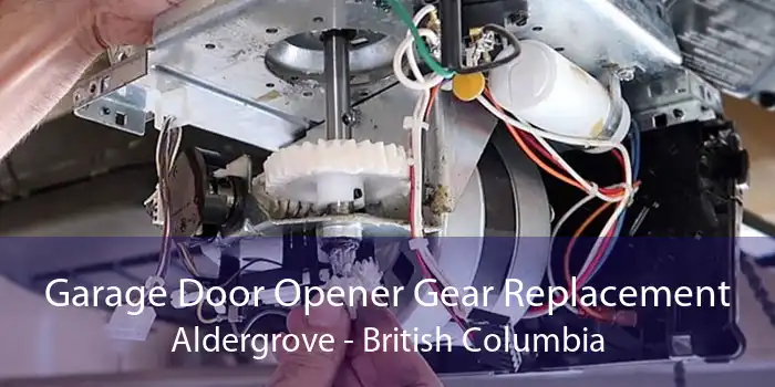 Garage Door Opener Gear Replacement Aldergrove - British Columbia