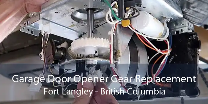 Garage Door Opener Gear Replacement Fort Langley - British Columbia