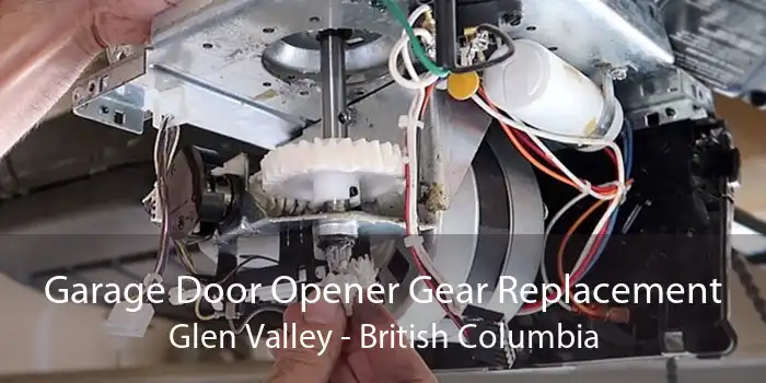 Garage Door Opener Gear Replacement Glen Valley - British Columbia