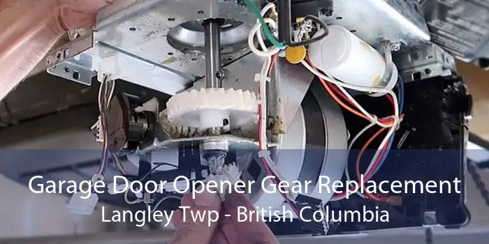 Garage Door Opener Gear Replacement Langley Twp - British Columbia