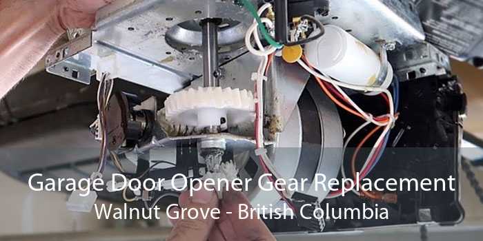 Garage Door Opener Gear Replacement Walnut Grove - British Columbia