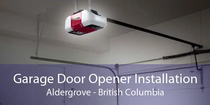Garage Door Opener Installation Aldergrove - British Columbia