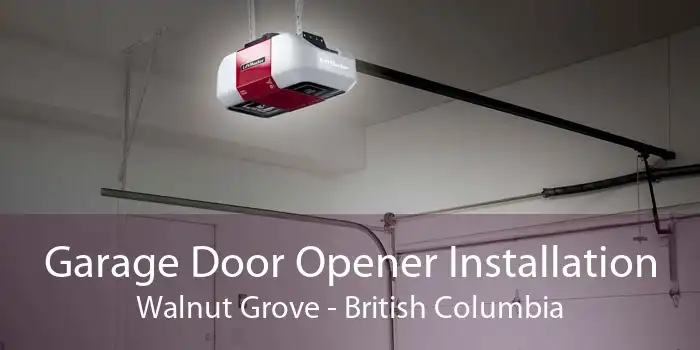 Garage Door Opener Installation Walnut Grove - British Columbia