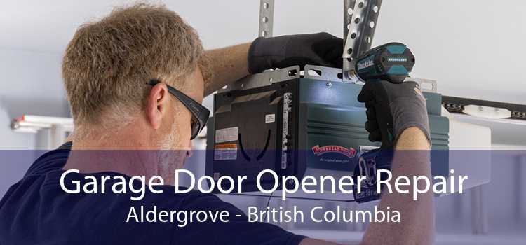 Garage Door Opener Repair Aldergrove - British Columbia