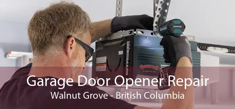 Garage Door Opener Repair Walnut Grove - British Columbia