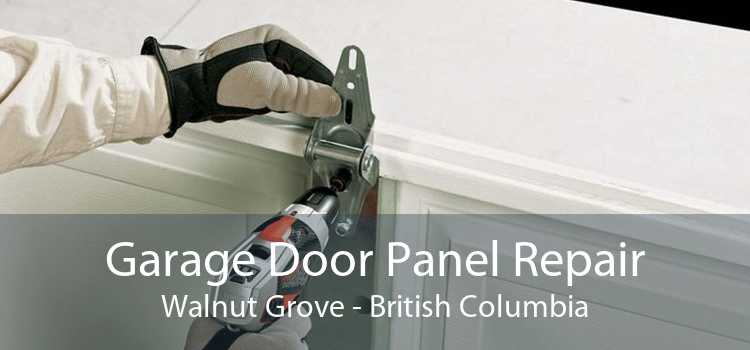 Garage Door Panel Repair Walnut Grove - British Columbia
