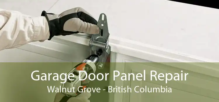 Garage Door Panel Repair Walnut Grove - British Columbia