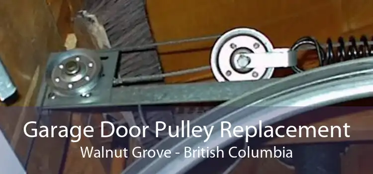 Garage Door Pulley Replacement Walnut Grove - British Columbia