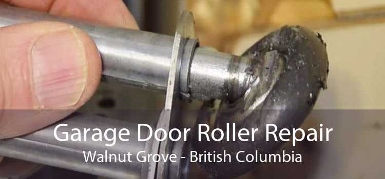 Garage Door Roller Repair Walnut Grove - British Columbia