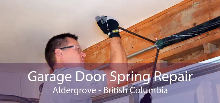Garage Door Spring Repair Aldergrove - British Columbia