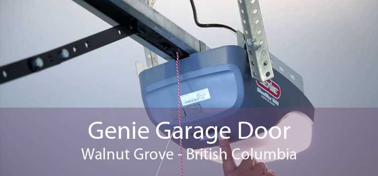Genie Garage Door Walnut Grove - British Columbia