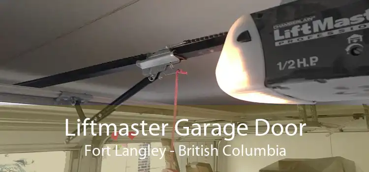 Liftmaster Garage Door Fort Langley - British Columbia