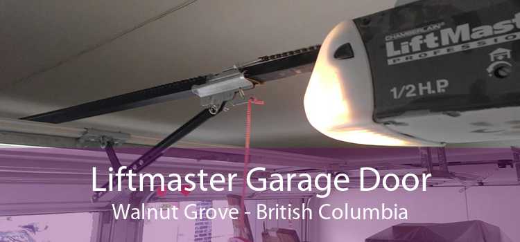 Liftmaster Garage Door Walnut Grove - British Columbia