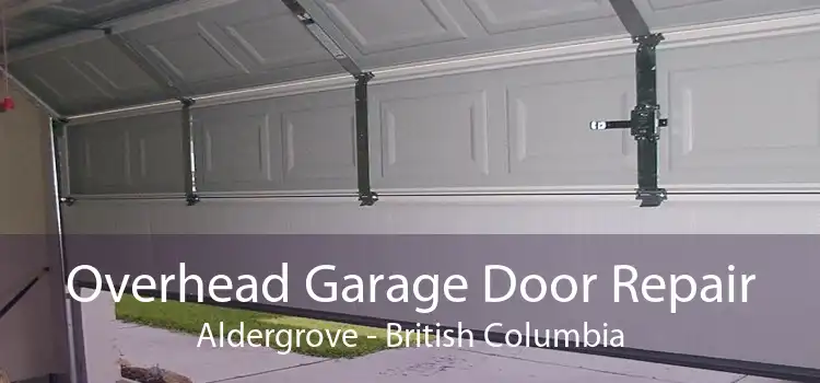 Overhead Garage Door Repair Aldergrove - British Columbia