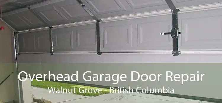 Overhead Garage Door Repair Walnut Grove - British Columbia