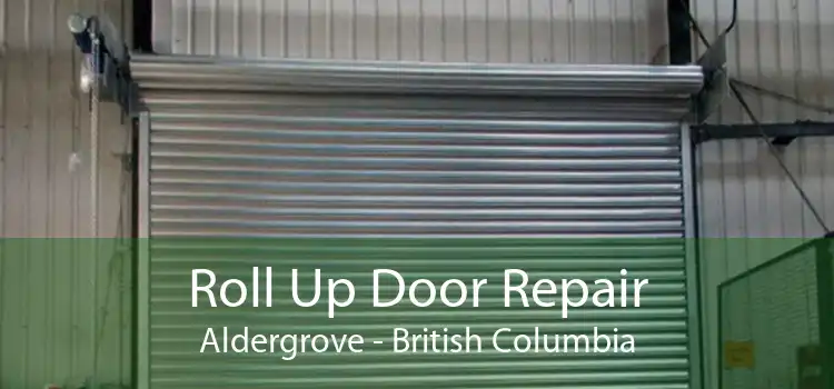 Roll Up Door Repair Aldergrove - British Columbia