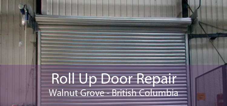 Roll Up Door Repair Walnut Grove - British Columbia