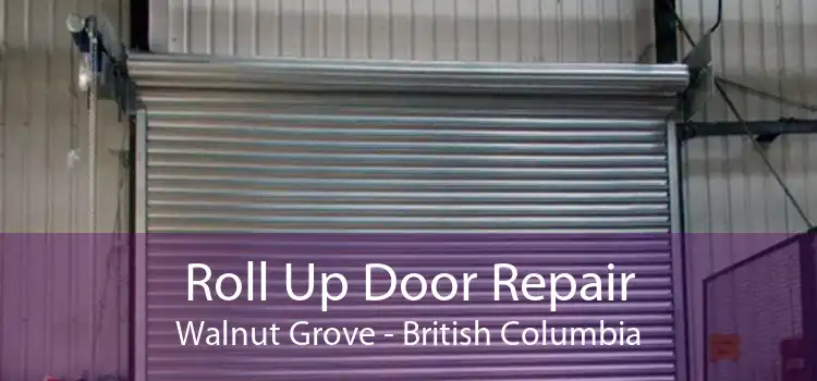 Roll Up Door Repair Walnut Grove - British Columbia