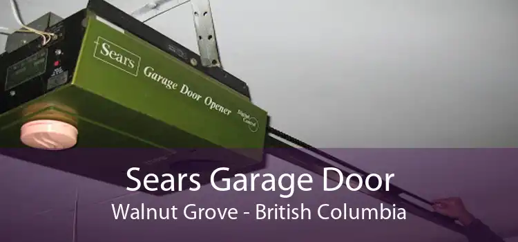 Sears Garage Door Walnut Grove - British Columbia