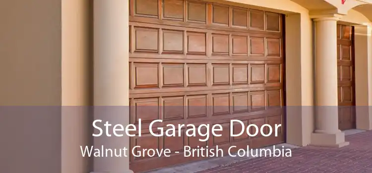 Steel Garage Door Walnut Grove - British Columbia
